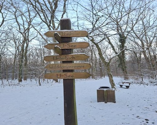 English description: Wooden signpost in a German forest pointing towards a hiking trail